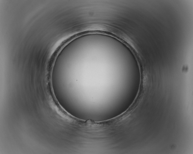 X0000111461116200907131448