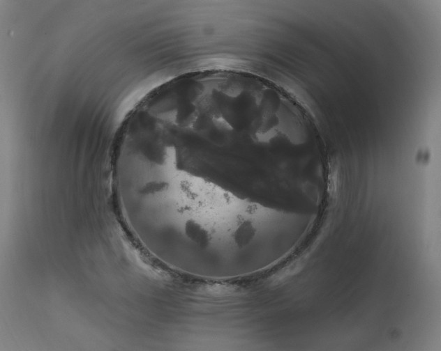 X0000111461117200907131448