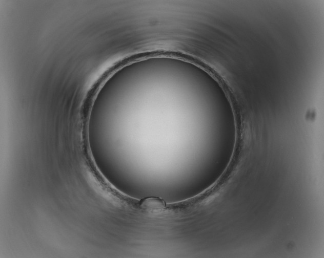 X0000111461118200907131448