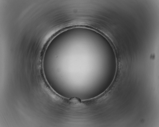 X0000111461119200907131448