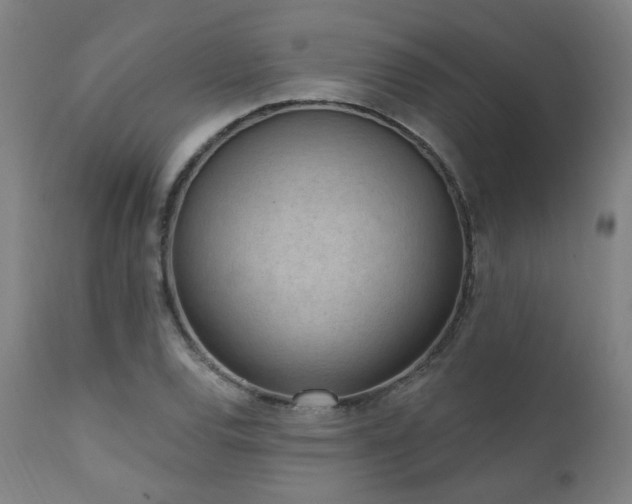 X0000111461120200907131448