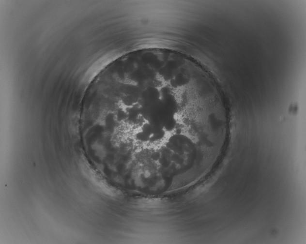 X0000111461121200907131448