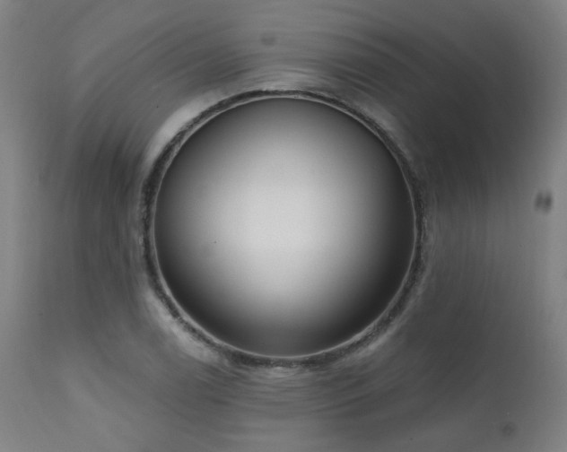 X0000111461122200907131448