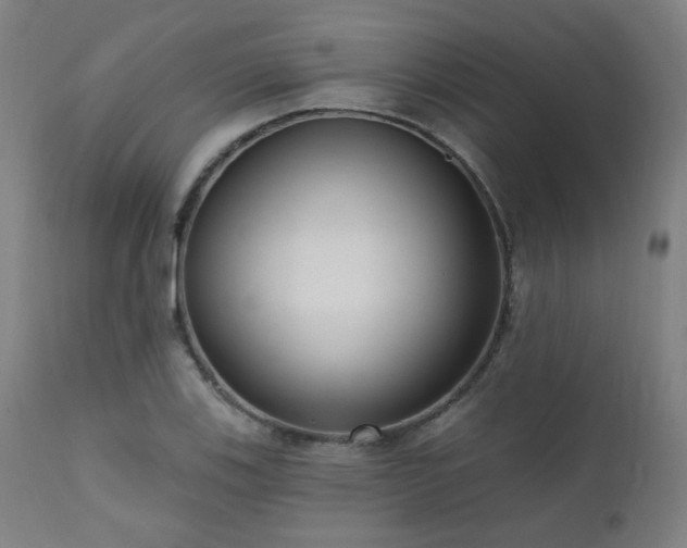 X0000111461123200907131448