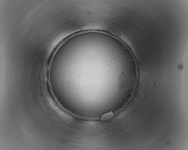 X0000111461124200907131448