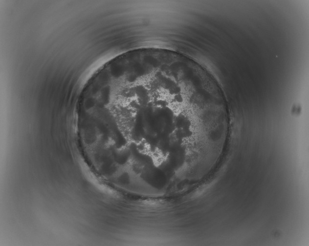 X0000111461125200907131448
