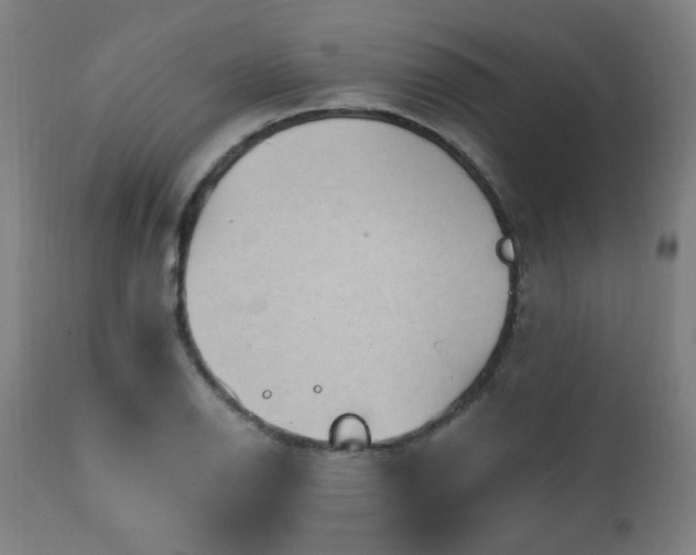 X0000111461126200907131449