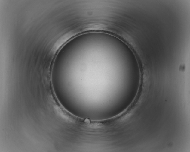 X0000111461129200907131449