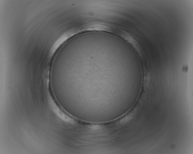 X0000111461130200907131449