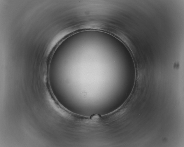 X0000111461131200907131449