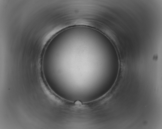 X0000111461133200907131449