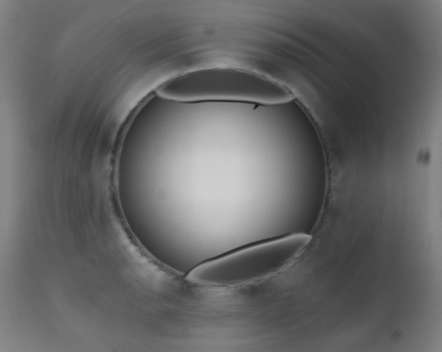 X0000111461134200907131449