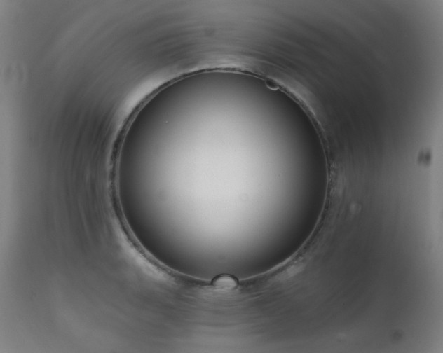 X0000111461135200907131449