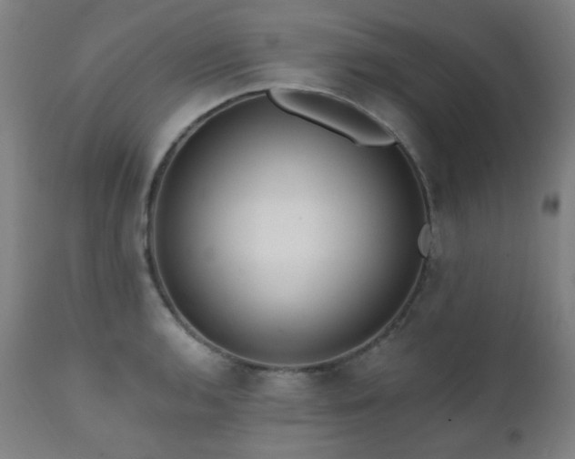 X0000111461136200907131449