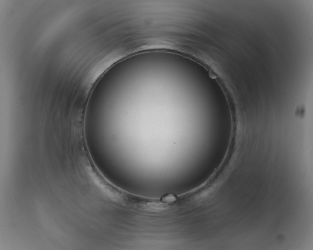 X0000111461137200907131449