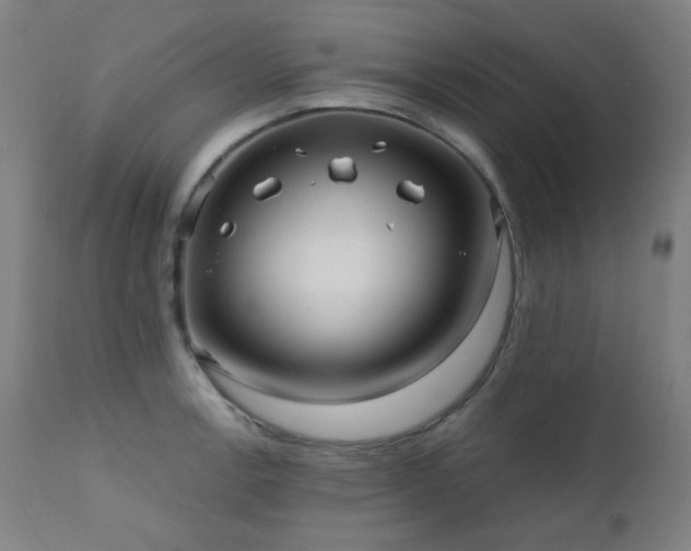 X0000111461138200907131449