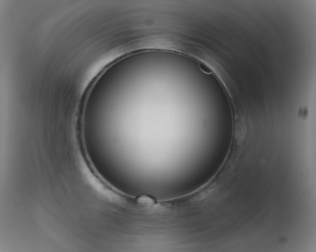 X0000111461139200907131449
