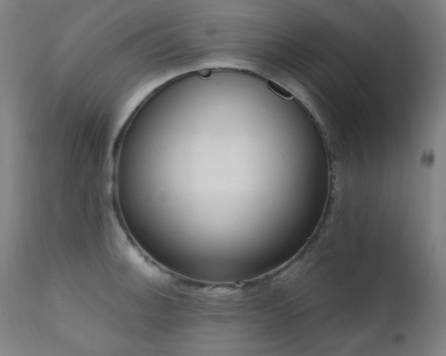 X0000111461140200907131449