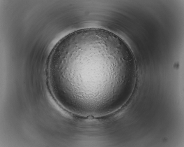 X0000111461142200907131449