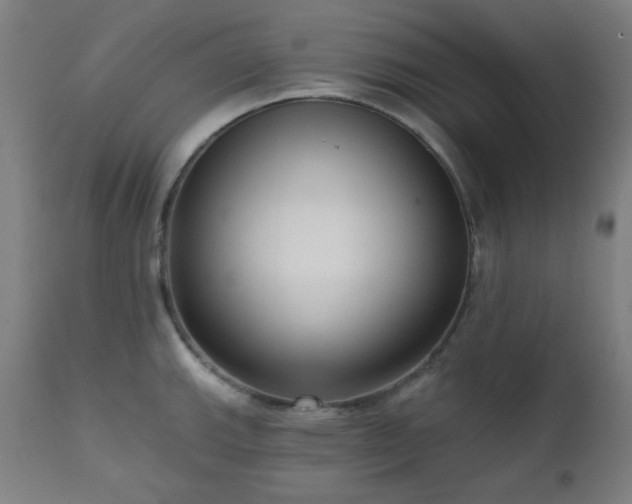 X0000111461143200907131449