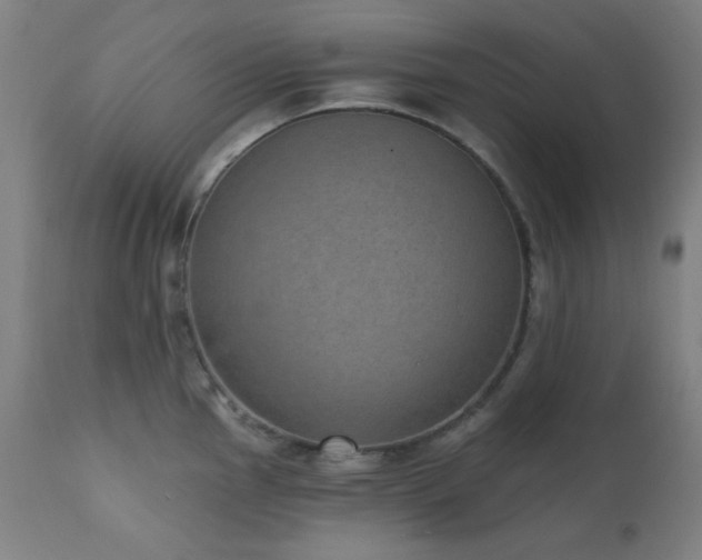 X0000111461145200907131449