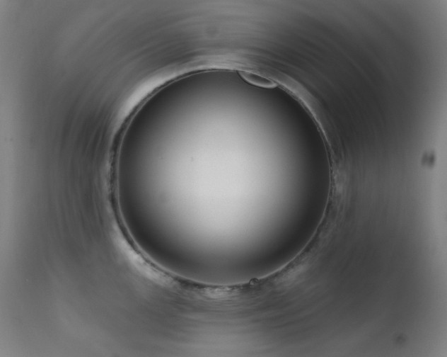 X0000111461147200907131449