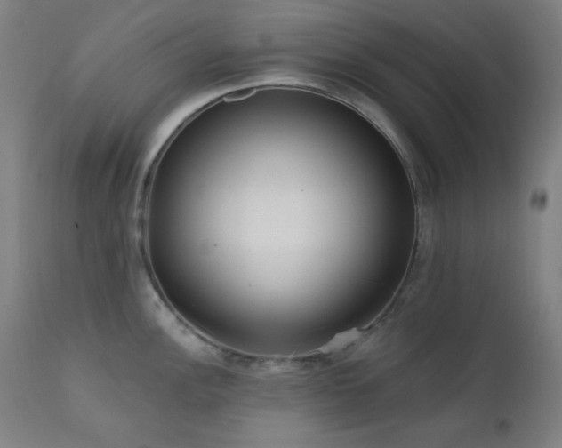 X0000111461148200907131449