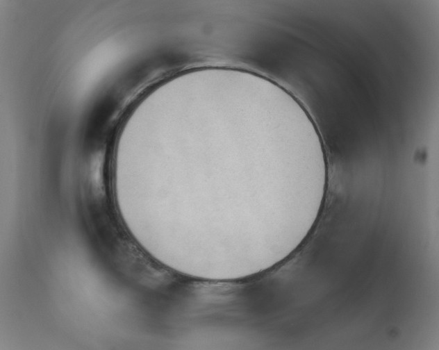 X0000111461150200907131449