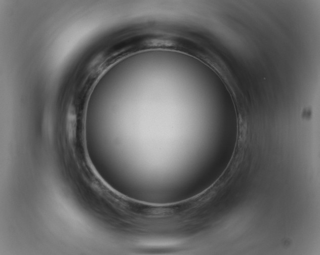 X0000111461151200907131449