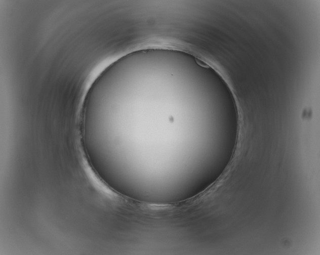 X0000111461152200907131449