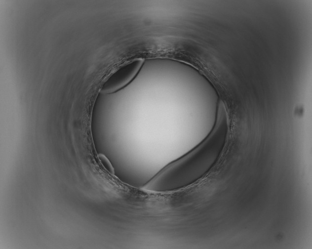 X0000111461153200907131448