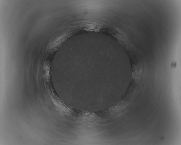 X0000111461154200907131448