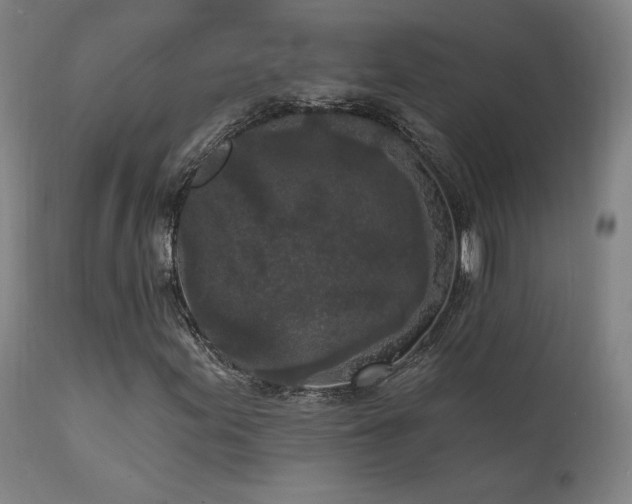 X0000111461155200907131448