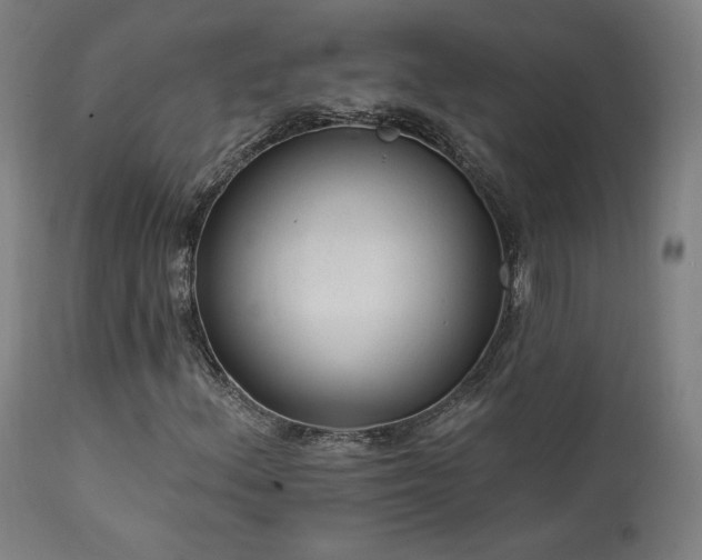 X0000111461156200907131448