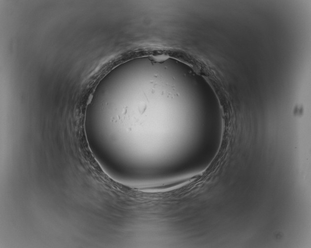 X0000111461157200907131448