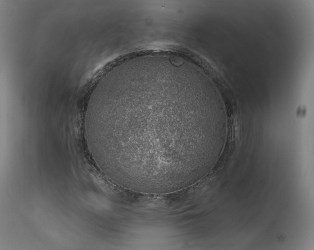 X0000111461158200907131448