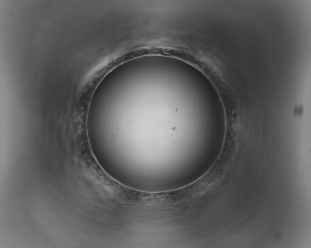 X0000111461159200907131448
