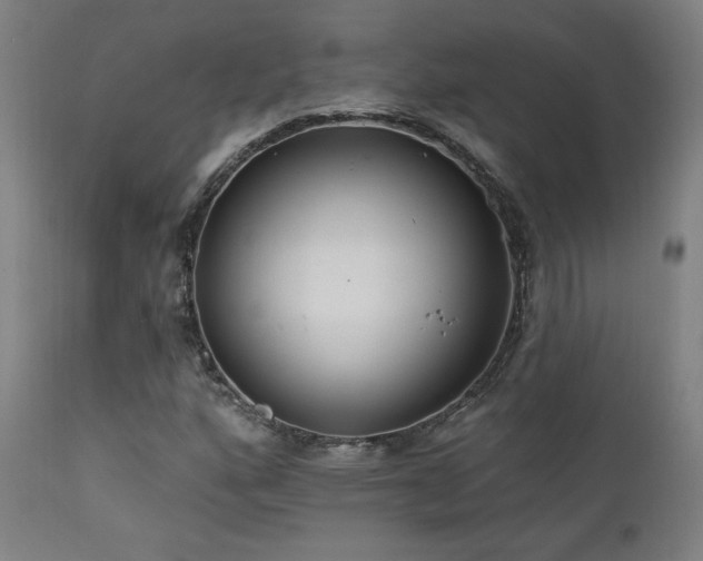X0000111461160200907131448