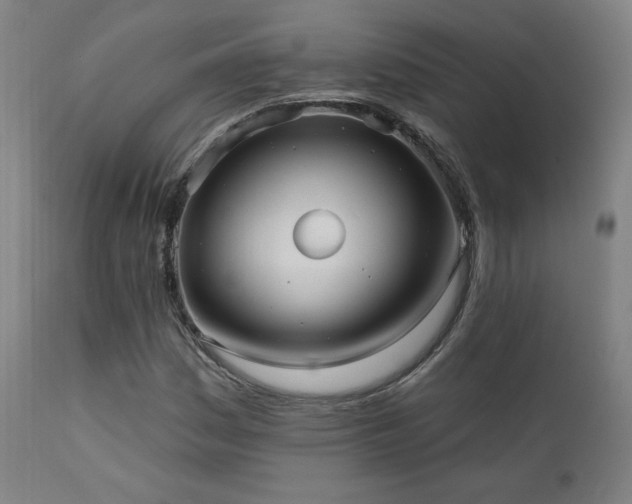 X0000111461161200907131448