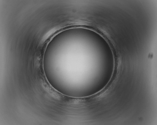 X0000111461163200907131448