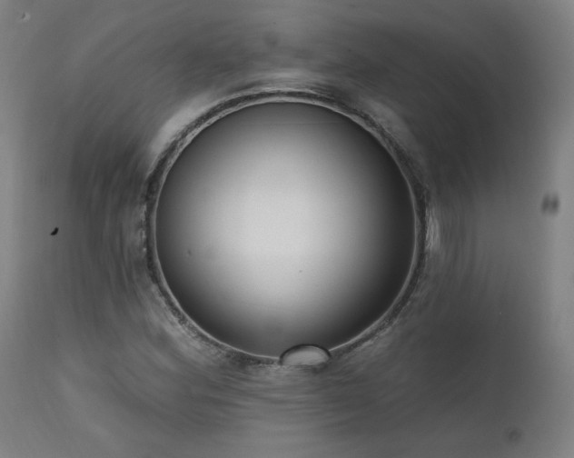 X0000111461164200907131448