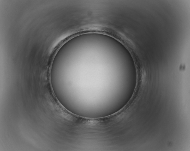 X0000111461166200907131448