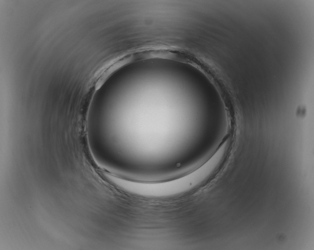 X0000111461169200907131448