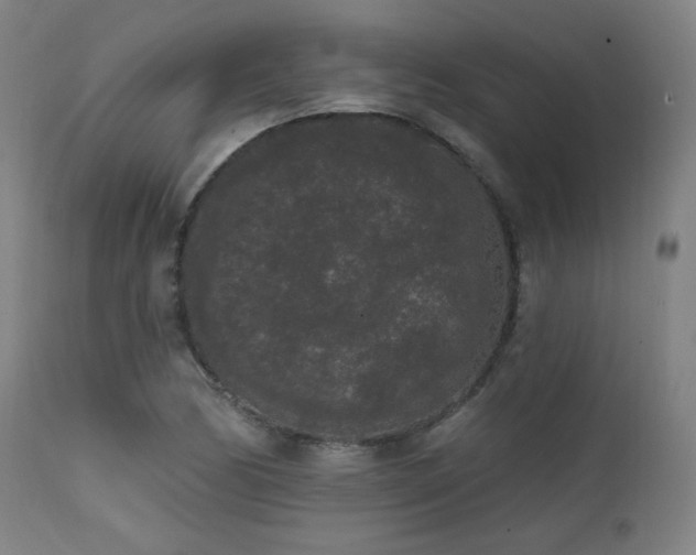 X0000111461170200907131448