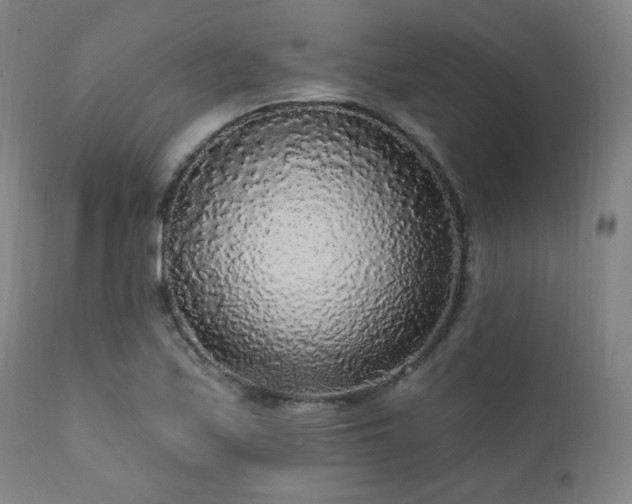 X0000111461171200907131448