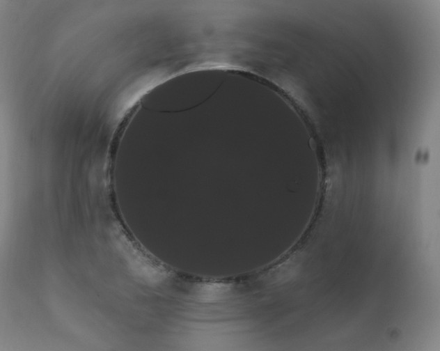 X0000111461173200907131448