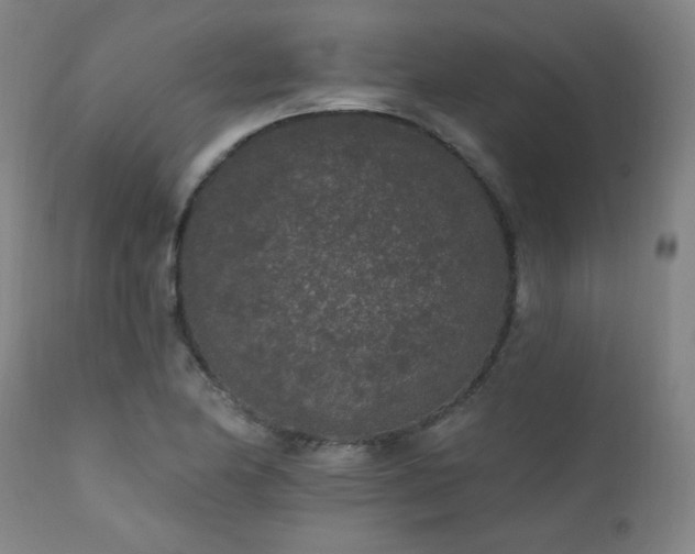 X0000111461174200907131448