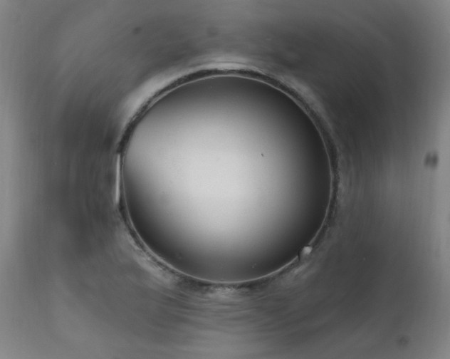 X0000111461175200907131448