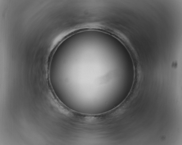 X0000111461176200907131448