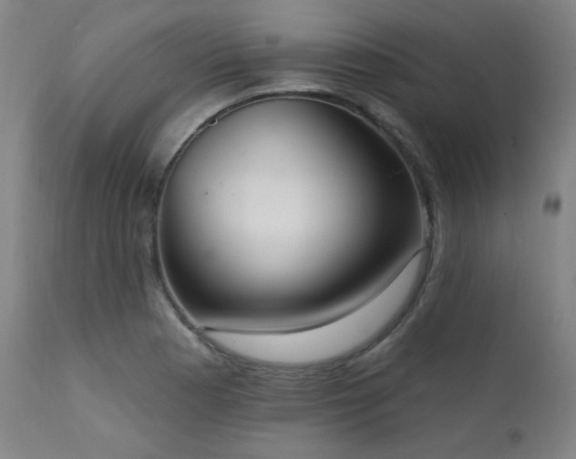 X0000111461177200907131448